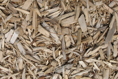 biomass boilers Sinfin Moor